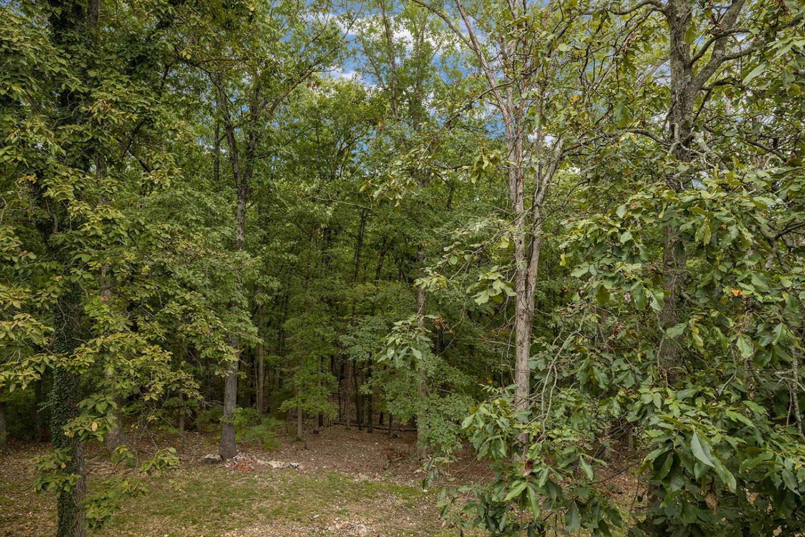 The Lofts On Indian Point - Near Silver Dollar City Branson Luaran gambar